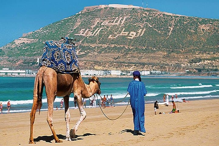 Agadir City Tour: Kasbah Views, Souk El Had & Argan Oil Cooperative photo 4