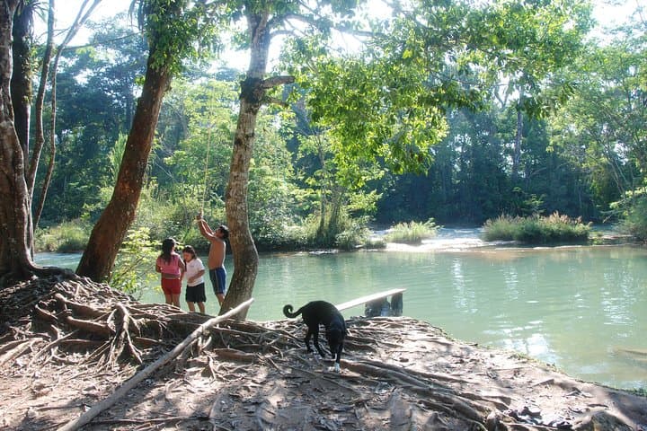 Explore Agua Azul Cascades and Palenque Ruins: Full-Day Tour from Palenque photo 5