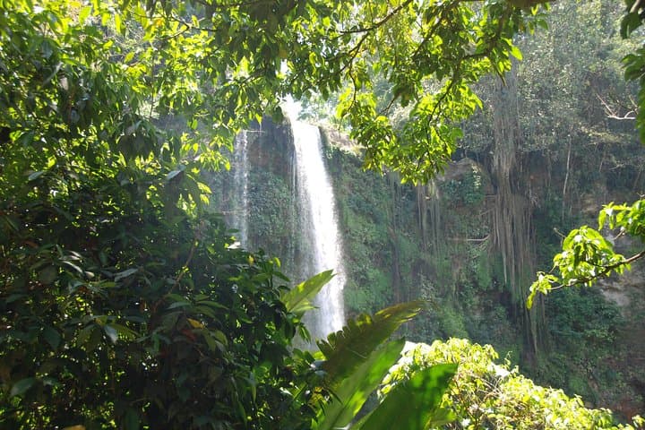 Explore Agua Azul Cascades and Palenque Ruins: Full-Day Tour from Palenque photo 6