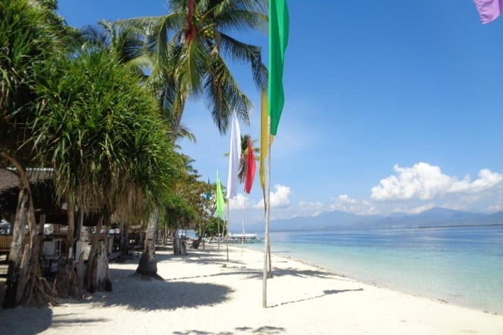 Honda Bay Islands Tour: Cowrie, Starfish & Luli Island Day Trip from Puerto Princesa photo 2