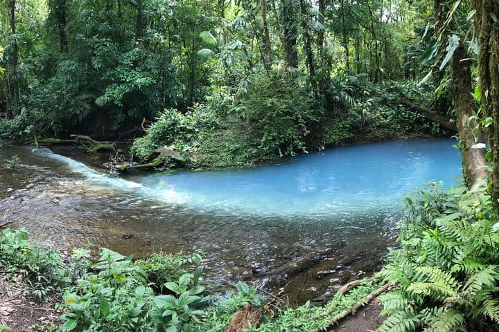 Rio Celeste Hike at Tenorio Volcano: Blue Waterfall, Sloth Trail & Local Lunch photo 6