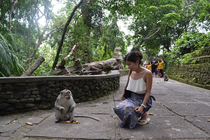 Ubud Full-Day Private Tour: Monkey Forest, Tegalalang Rice Terraces & Coffee Luwak photo 3