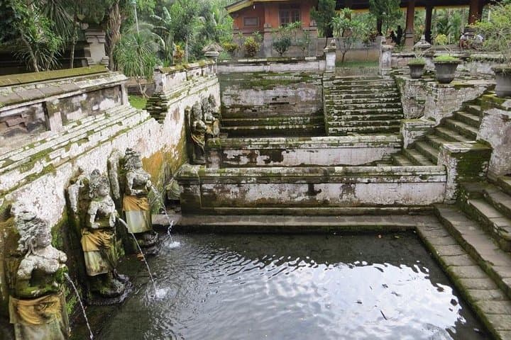 Ubud Full-Day Private Tour: Monkey Forest, Tegalalang Rice Terraces & Coffee Luwak photo 4