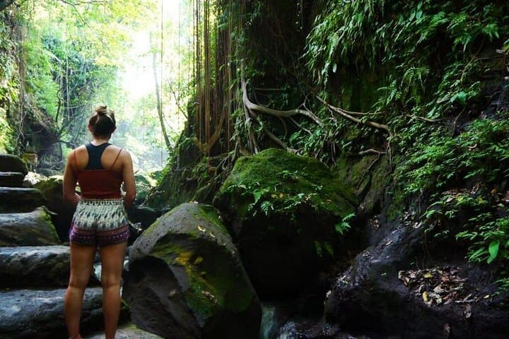 Ubud Full-Day Private Tour: Monkey Forest, Tegalalang Rice Terraces & Coffee Luwak photo 5