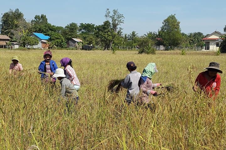 Private One-Day Angkor Temples Tour with Tonle Sap Sunset photo 5