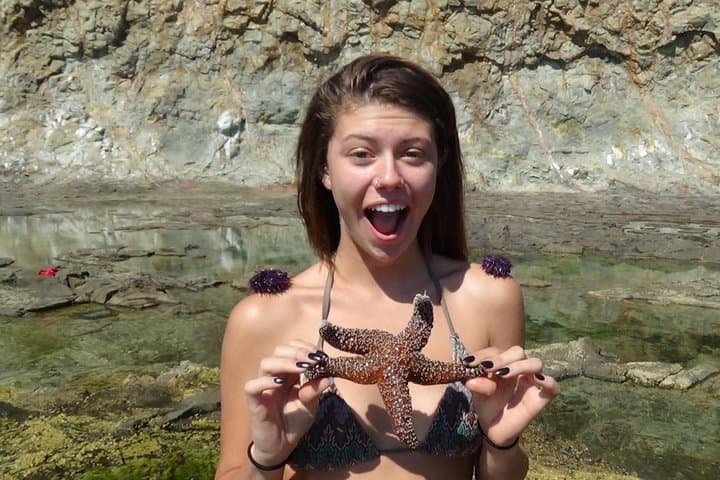 Snorkeling Los Angeles: Secluded Kelp Forests & Fresh Uni Near Redondo Beach photo 3