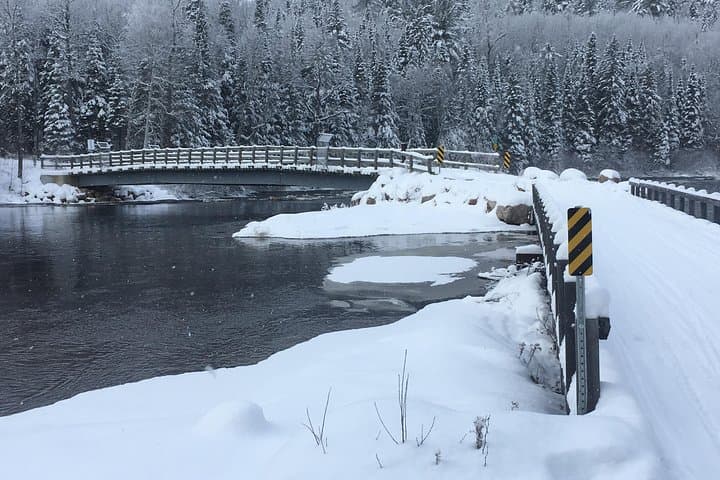 Explore Canadian Wilderness on Guided Snowmobile Tours from Calabogie photo 3