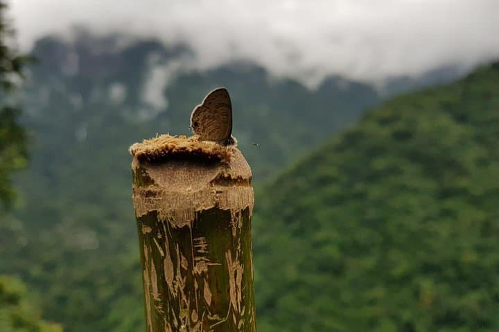 4-Day Glimpse of Meghalaya: Shillong, Cherrapunji & Dawki Private Tour