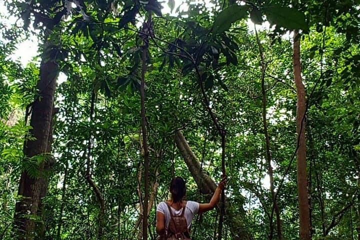 Udawatta Kele Sanctuary: Private Birdwatching and Nature Trekking near Kandy photo 1