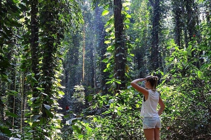 Udawatta Kele Sanctuary: Private Birdwatching and Nature Trekking near Kandy photo 2