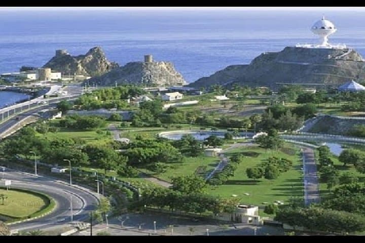 Half-Day City Tour of Muscat — Grand Mosque, Mutrah Souq & Al Alam Palace photo 5