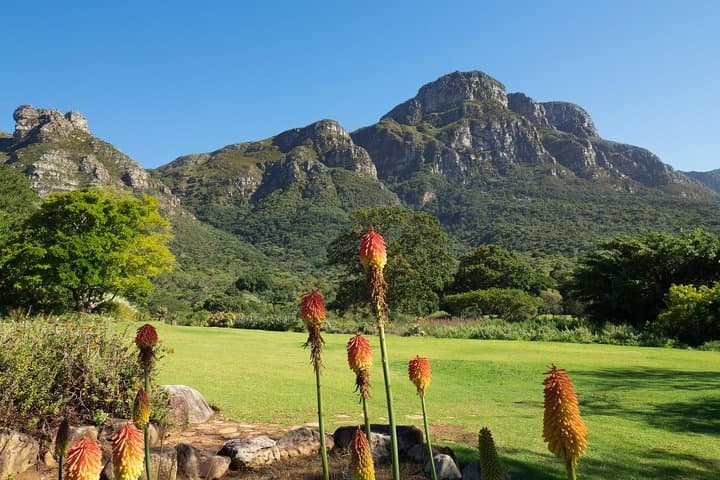 Cape Town to Garden Route: 5-Day Coastal Road Trip from Table Mountain to Knysna photo 3