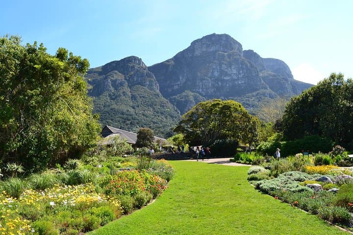 Cape Town to Garden Route: 5-Day Coastal Road Trip from Table Mountain to Knysna photo 6