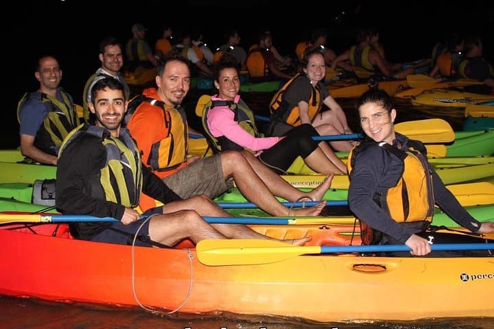 Laguna Grande Bioluminescent Kayak Tour — Fajardo Night Paddle Guide photo 4