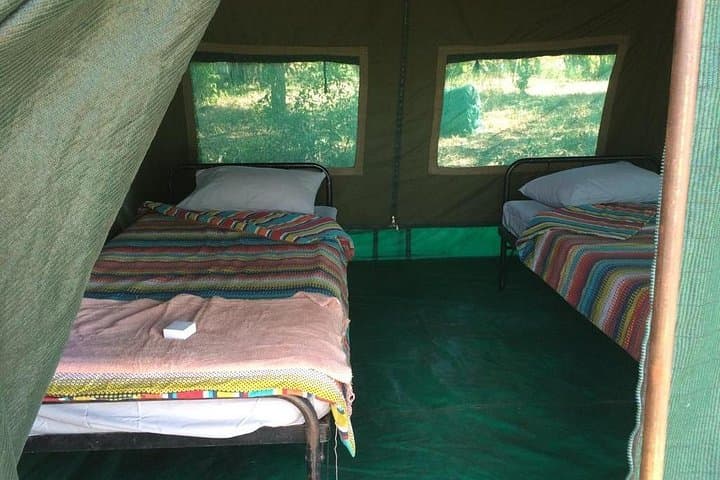Overnight Canoe Safari on the Upper Zambezi: Tented Camp & Kandahar Rapids photo 2
