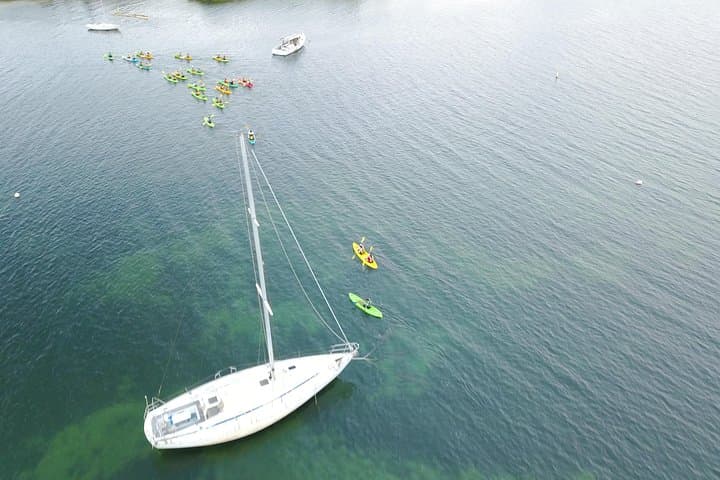 Laguna Grande Bioluminescent Kayak Tour — Fajardo Night Paddle Guide photo 6