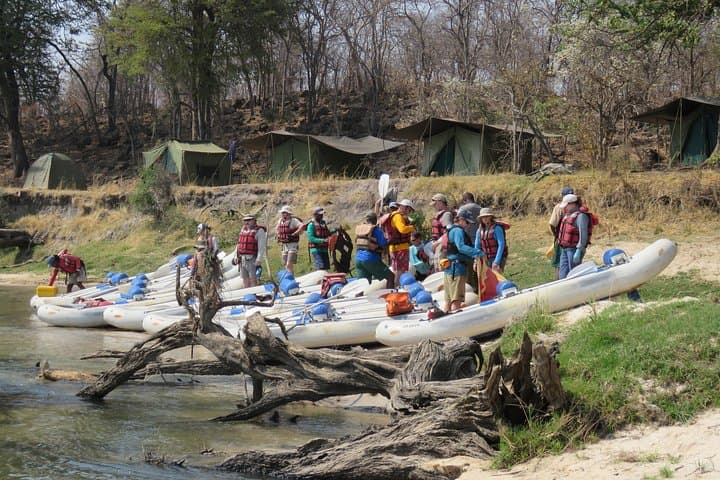 Overnight Canoe Safari on the Upper Zambezi: Tented Camp & Kandahar Rapids photo 3