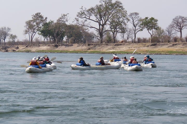 Overnight Canoe Safari on the Upper Zambezi: Tented Camp & Kandahar Rapids photo 6