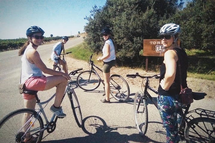From Sitges: Bike Tour & Winery Visit to Alt Penedès Cava photo 3