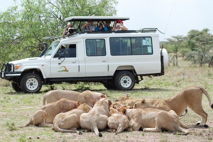 Full-Day Private Serengeti Safari from Mwanza — Day Trip into Tanzania's Wild