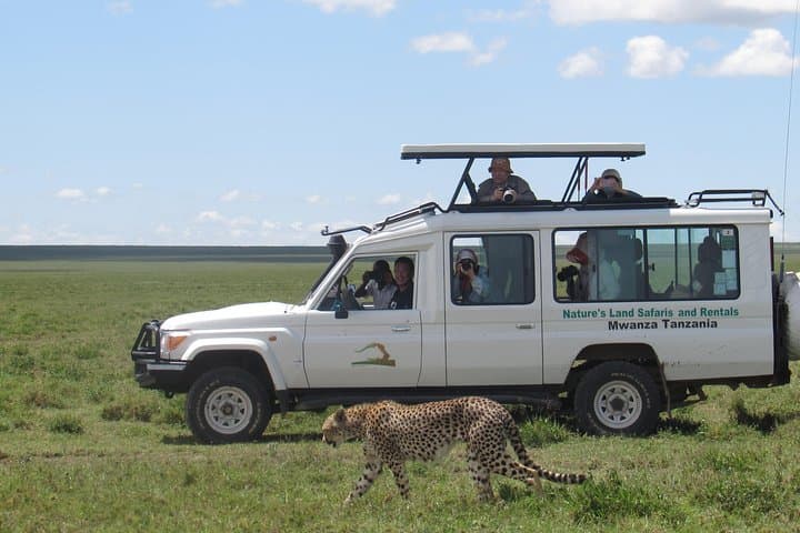 Full-Day Private Serengeti Safari from Mwanza — Day Trip into Tanzania's Wild photo 3