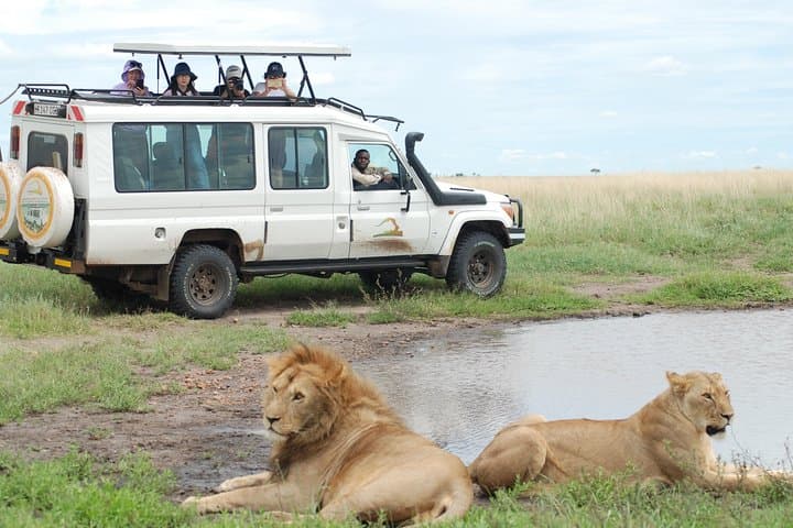 Full-Day Private Serengeti Safari from Mwanza — Day Trip into Tanzania's Wild photo 5