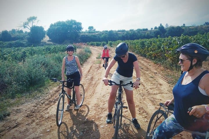 From Sitges: Bike Tour & Winery Visit to Alt Penedès Cava photo 5