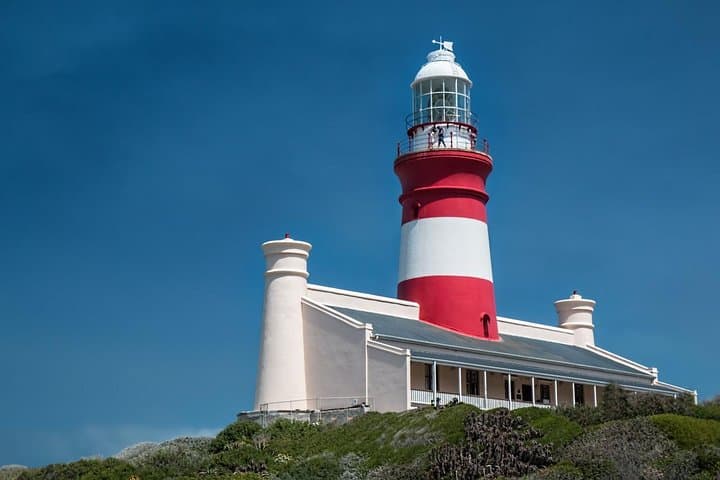 Cape Agulhas Day Tour: Stand Between Two Oceans, Wine Tasting & Penguins photo 5