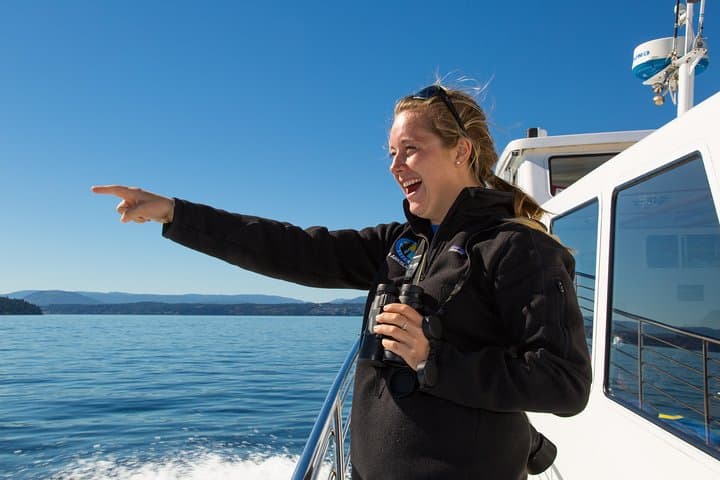 Whale Watching from Friday Harbor: Orcas & Salish Sea Wildlife Cruise photo 3