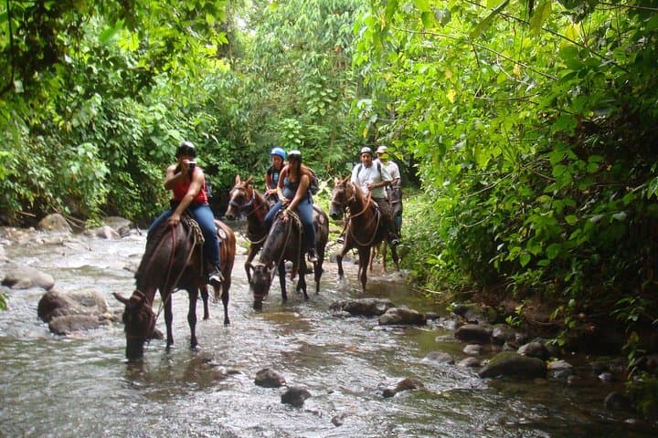 Horseback to La Fortuna Waterfall from Arenal — Scenic Horse Ride & Waterfall Swim