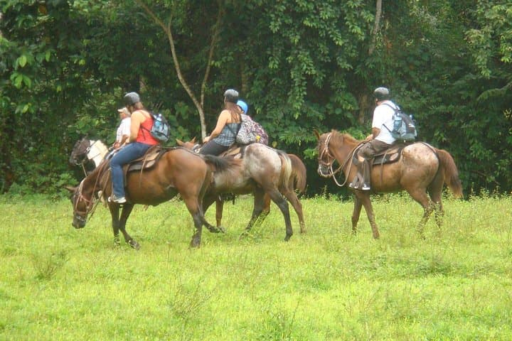 Horseback to La Fortuna Waterfall from Arenal — Scenic Horse Ride & Waterfall Swim photo 2