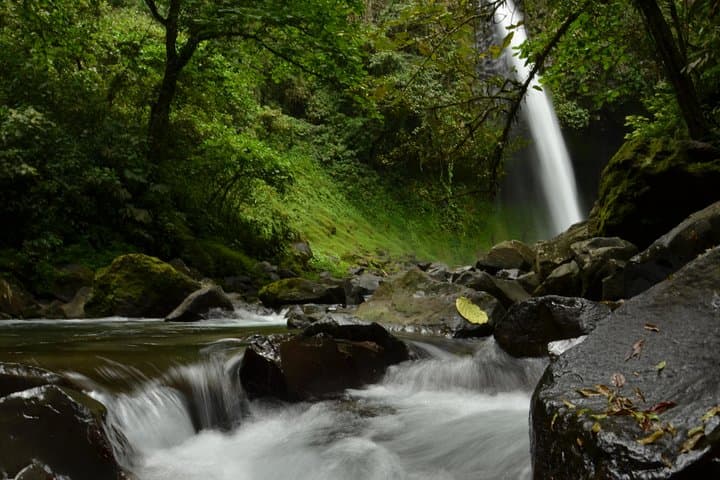 Horseback to La Fortuna Waterfall from Arenal — Scenic Horse Ride & Waterfall Swim photo 3