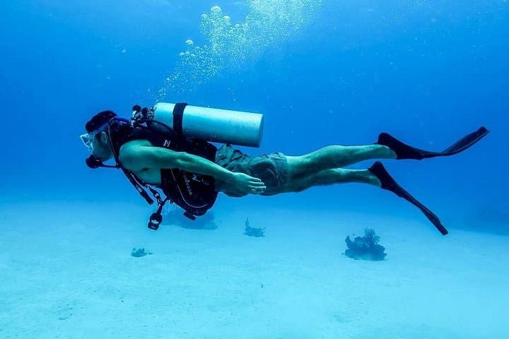 Intro Dive & Snorkel Boat Tour to Tiran and Ras Mohammed, Sharm El Sheikh photo 6