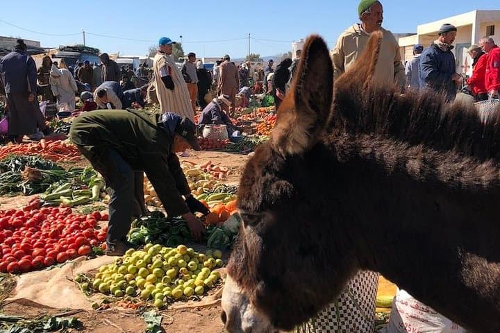 Ida Ogourd Berber Market and Argan Cooperative near Essaouira photo 3
