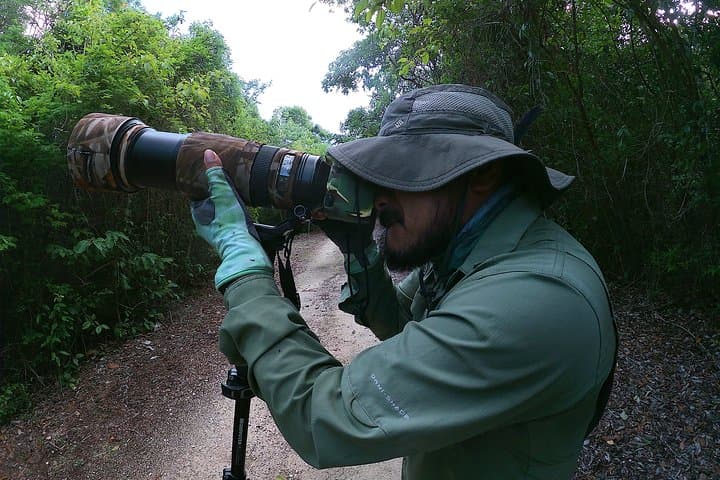 Mahahual and Costa Maya Birdwatching Tour — Mangroves, Jungle & Coastal Birds photo 3