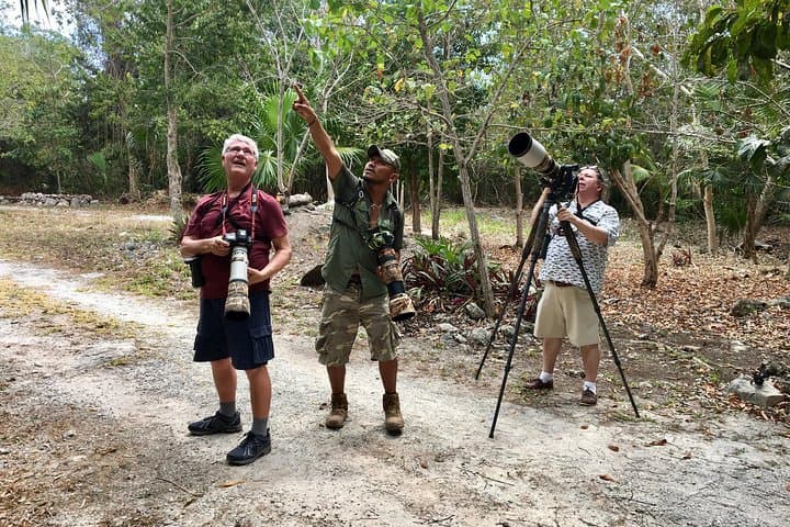 Mahahual and Costa Maya Birdwatching Tour — Mangroves, Jungle & Coastal Birds photo 1