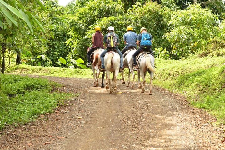 Horseback Riding from Jaco to Waterfalls: Rainforest Trails, Wildlife & Natural Slides photo 5