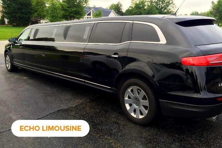 Private Chicago Limo Tour: 4-Hour Luxury Sightseeing Transfer photo 2