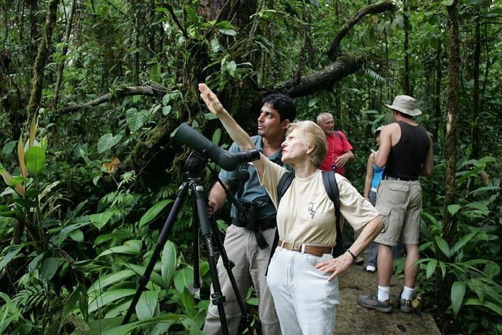 Birding Tour from San José to Rainforest Adventures — Atlantic Birdwatching Day Trip photo 1