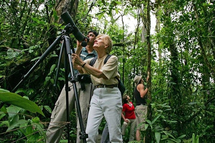 Birding Tour from San José to Rainforest Adventures — Atlantic Birdwatching Day Trip photo 2