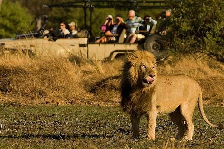 Five-Day Hwange & Chobe Safari + Victoria Falls Sunset Cruise — Complete Wildlife Combo photo 1