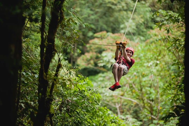 San Luis Canopy Zipline Adventure from San José — Cloud Forest Canopy Tour