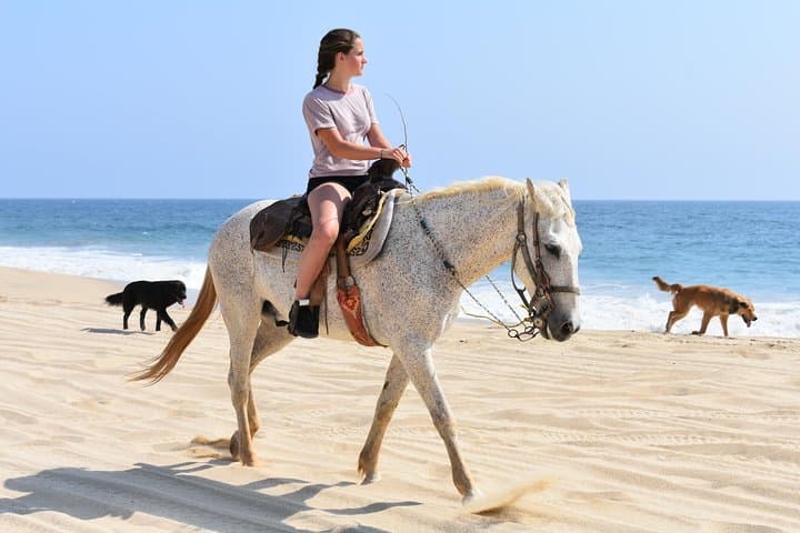 Cabo Desert Off-Road and Beach Horseback Combo with Tequila Tasting photo 4