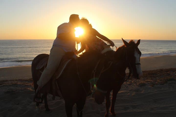Cabo Desert Off-Road and Beach Horseback Combo with Tequila Tasting photo 5