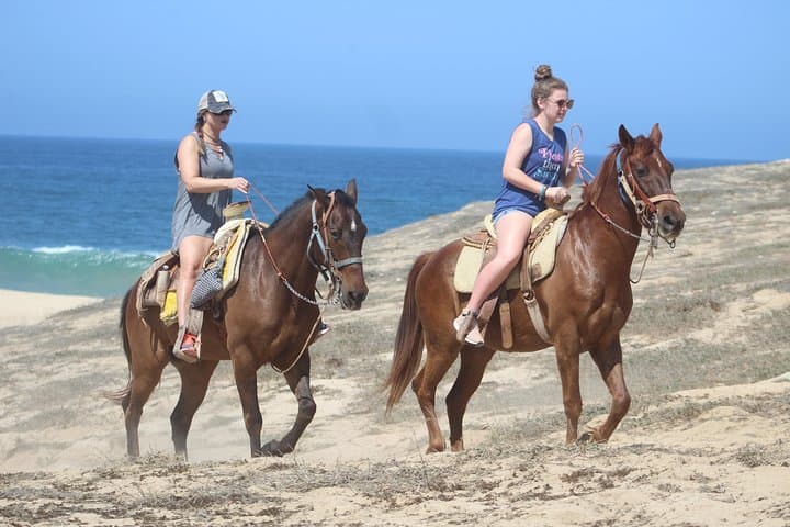 Cabo Desert Off-Road and Beach Horseback Combo with Tequila Tasting photo 2