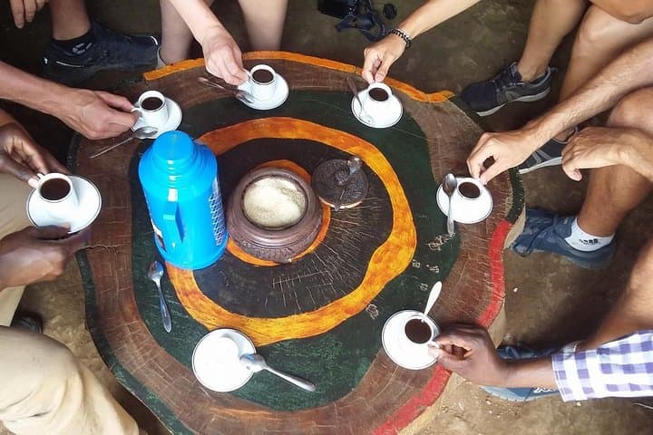 Materuni Waterfall & Chagga Coffee Tour — Hike, Swim and Local Coffee Experience