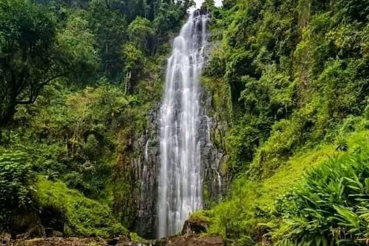 Materuni Waterfall & Chagga Coffee Tour — Hike, Swim and Local Coffee Experience photo 2