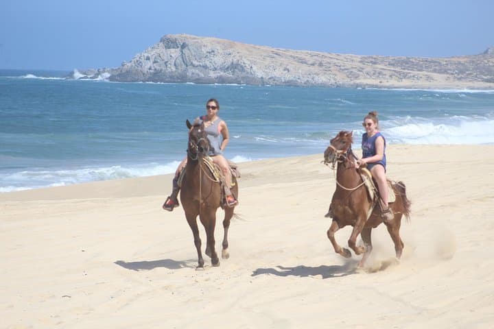 Ride Cabo’s White‑Sand Beaches: 2‑Hour Horseback Adventure & Tequila Tasting photo 3