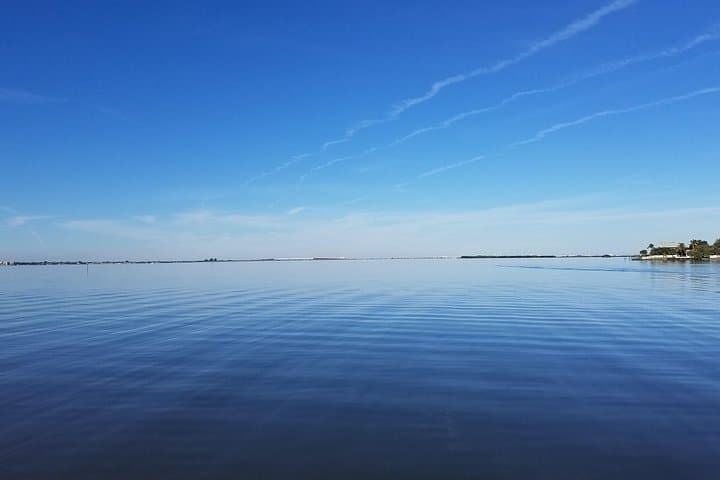 Two-Hour Indian River Lagoon Eco Boat Tour from Cocoa Beach photo 2