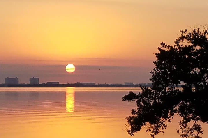 Two-Hour Indian River Lagoon Eco Boat Tour from Cocoa Beach photo 3